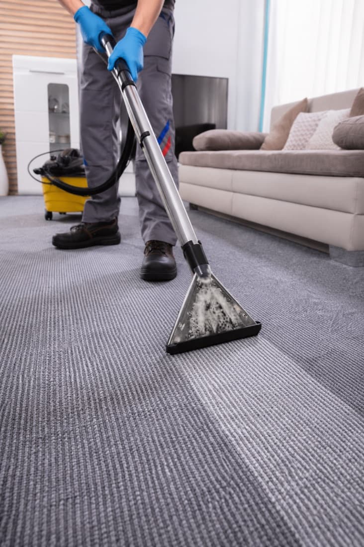 Carpet Deep Cleaning